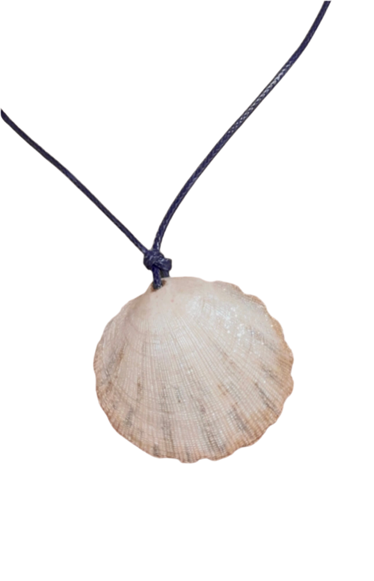 Hand made necklace - sea shell and leather