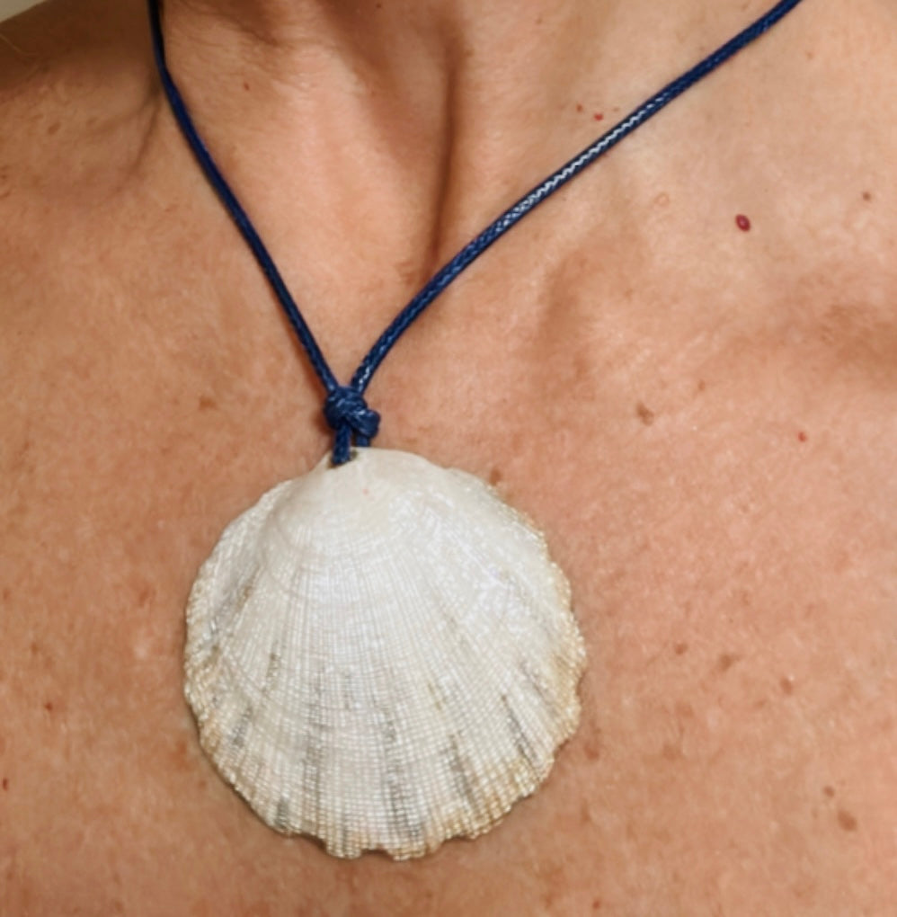 Hand made necklace - sea shell and leather