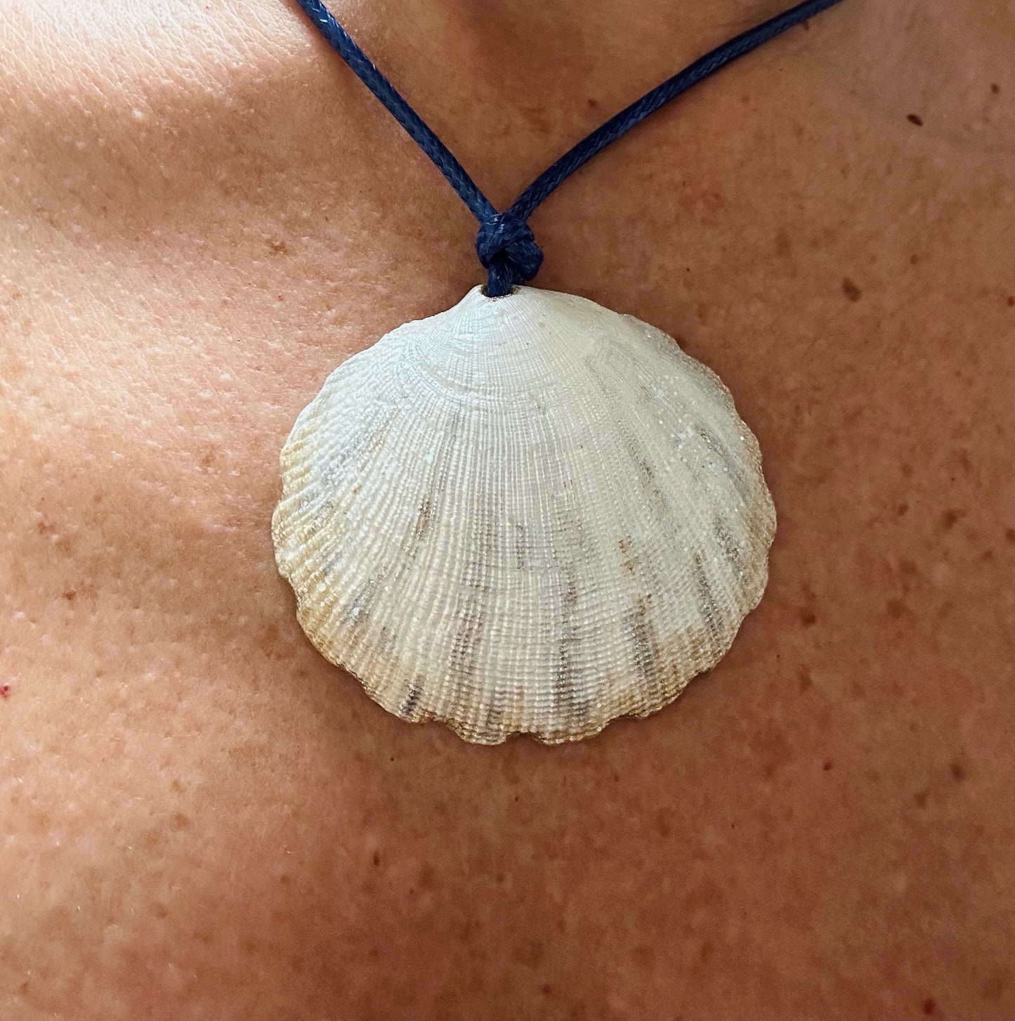 Hand made necklace - sea shell and leather