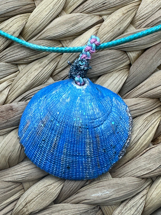 Hand made necklace - Sea Shell Turkish blue
