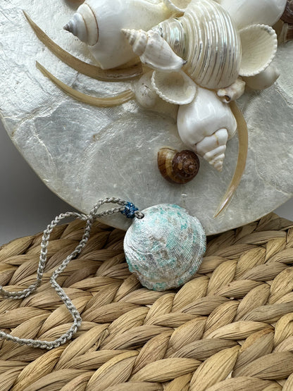 Hand made necklace- sea shell